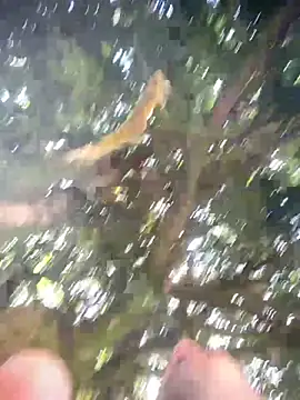 Preview of je1999_28