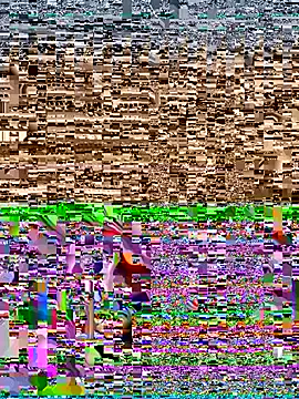 Shelas_room_official live sex cam