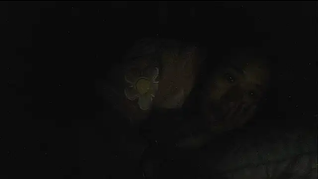 hebe-02 live sex cam