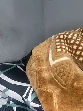 thehodguy Live Webcam on Stripchat