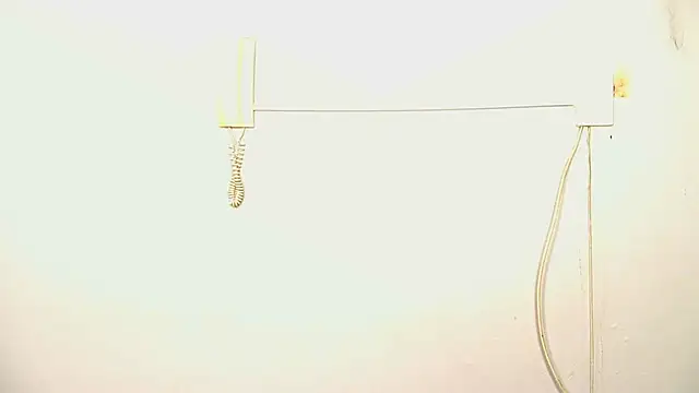 Preview of kinkystallion