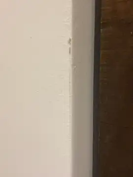 tlg_ferchule (F milf) - Flash de tetas