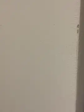 tlg_ferchule - TLG_ferchule's free webcam - UK Sex Cams