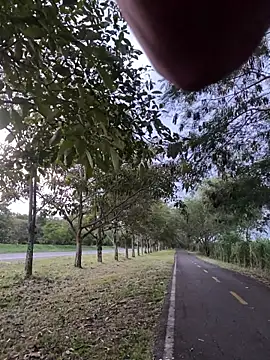 Maicol_xxxx live cam