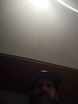 Preview of aceticpinscher