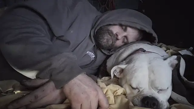 Preview of charactrzero