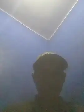 Preview of s7lealtadpervlima7