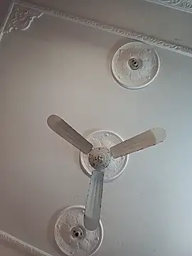 Webcam Model (Sweetloverbigass)  is live.Free join now!