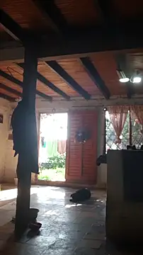 channeldelacroix (F milf) - OPPEN ASS