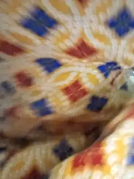 Darling8008 live cam