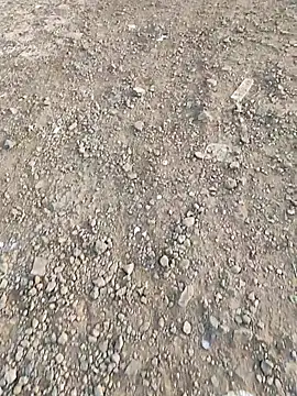 Preview of desi_small_dick