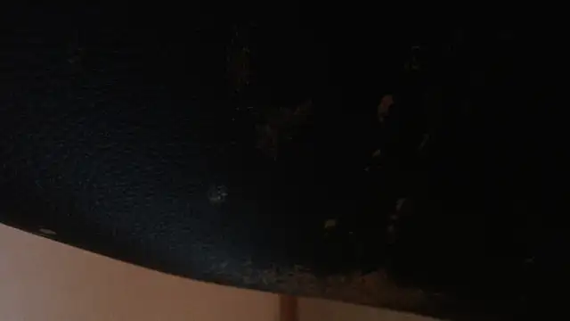 edelholz91 (Ask my age) - love me