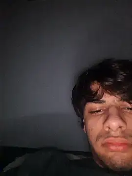 Preview of ilcazzone32