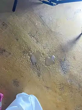 moncerrat_luna live cam