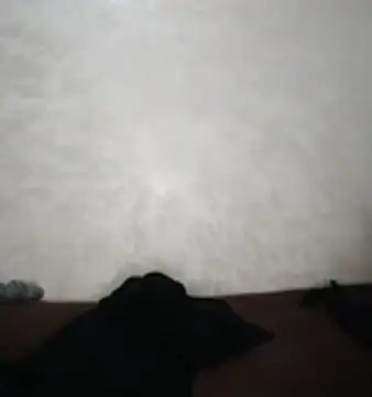 Sexy__Arab live cam profile