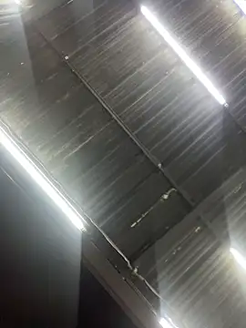 JuanitaMore01 live cam profile