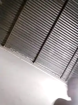 andreita_95 (G young) - Lush en mi Ano