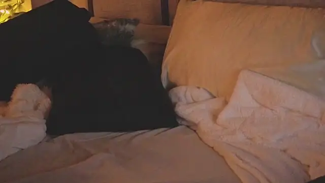 ivynyxx (F mature) - #american #anal #anal-toys #big-tits #blowjob #cam2cam #cock-rating #cowgirl #dildo-or-vibrator #doggy-style #fingering #foot-fetish #hd #heels #luxurious-privates #massage #masturbation #nylon #oil-show #orgasm #recordable-privates #recordable-publics #sex-toys #spanking #striptease #titty-fuck #topless #twerk #yoga #american #american-mature #anal #anal-doggy-style #anal-fingering #anal-masturbation #anal-mature #anal-toys #anal-white #athletic #athletic-mature #athletic-redheads #athletic-white #big-tits #big-tits-anal #big-tits-blowjob #big-tits-doggy-style #big-tits-mature #big-tits-redheads #big-tits-titty-fuck #big-tits-white #blowjob #blowjob-mature #cam2cam #cock-rating #cowgirl #deluxe-cam2cam #dildo-or-vibrator #dildo-or-vibrator-anal #dildo-or-vibrator-big-tits #doggy-style #fingering #fingering-white #flashing #foot-fetish #foot-fetish-mature #hd #heels #luxurious-privates #luxurious-privates-mature #luxurious-privates-white #massage #masturbation #masturbation-mature #mature #nylon #oil-show #orgasm #orgasm-mature #recordable-privates #recordable-privates-mature #recordable-publics #redheads #redheads-anal #redheads-blowjob #redheads-mature #sex-toys #small-audience #spanking #striptease #striptease-white #titty-fuck #topless #topless-white #twerk #twerk-white #white #white-mature #yoga