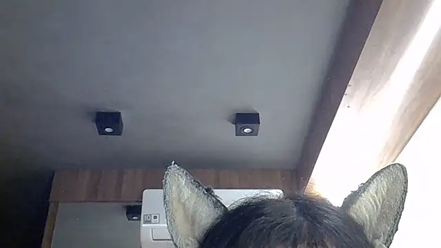 skinnykitten (T young) - smile😊sorrir