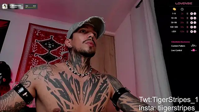 Preview of tigerstripes1_