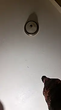 Preview of tyty86866