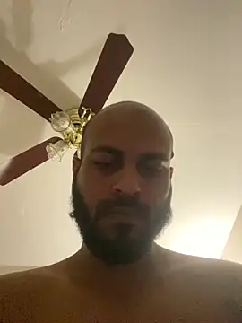 Preview of islandvybee55