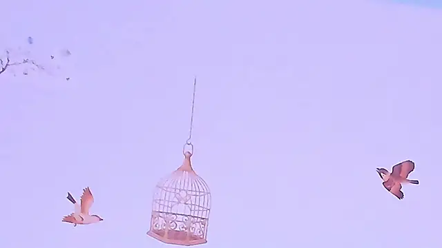 TinyBlair live sex cam