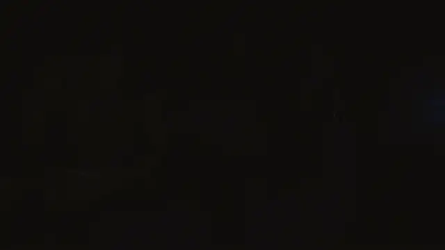 Preview of kiim_ross