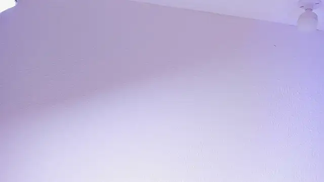 Preview of alexander_ammy