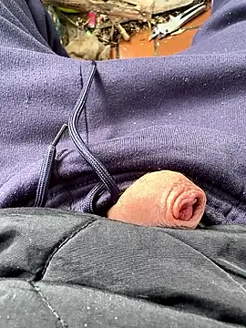 Preview of kleineralex