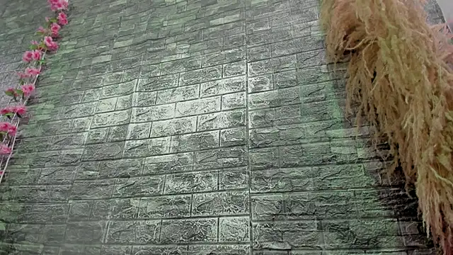 adult web cam Karoll Sex