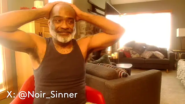 Preview of sinnernoir