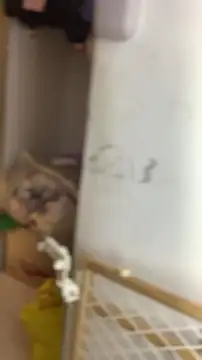 free nude chat ImValentinaHotXXX