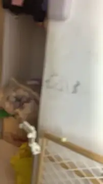 Preview of imvalentinahotxxx