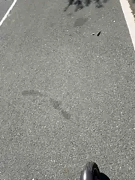 415cali925 (Ask my age) - Show my ass to a stranger