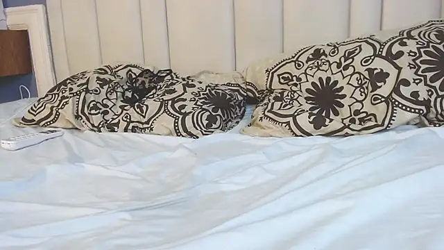 Preview of chelseadow