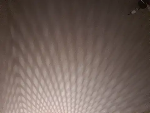 salemx (M young) - #anal #anal-toys #arab #bbc #beardy #bisexuals #black-hair #blowjob #bottom #cam2cam #cei #cheap-privates #flashing #german #goth #hd #mobile #new #office #rimming #selfsucking #skinny #small-audience #young