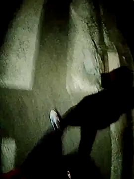 Porcopalestratocazzone21