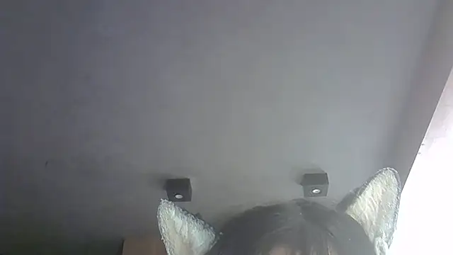 skinnykitten (T young) - open mouth😮abrir a boca