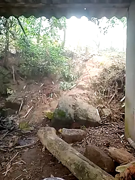 him220 - Him220's free webcam - UK Sex Cams