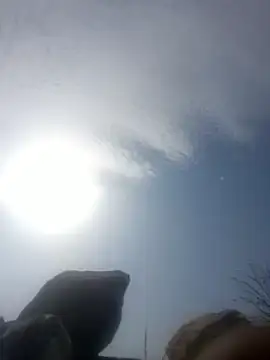 Preview of pallu_asha