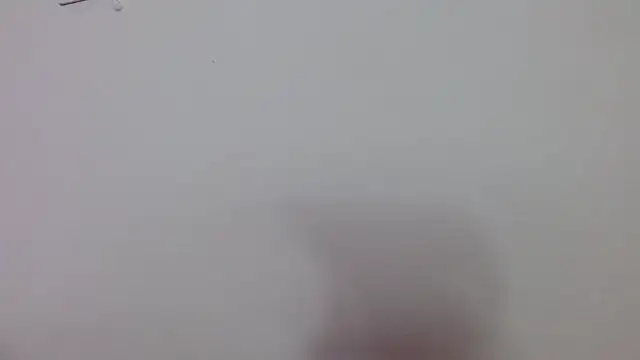 Preview of alexafontana