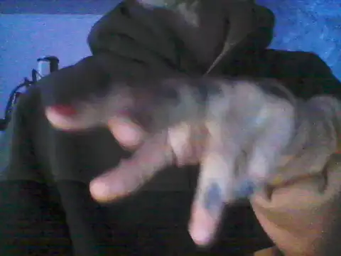 alphacloudgod (Ask my age) - BEST TUNES