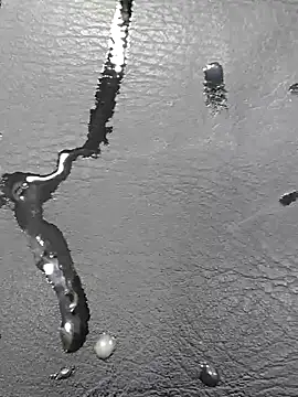 Preview of daviidbuckx_