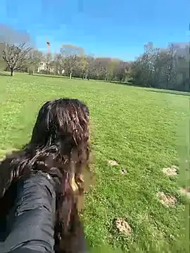 Preview of amani_thewolf