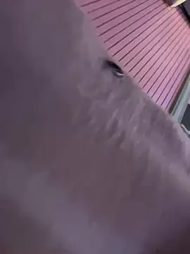 Preview of molly-xiao