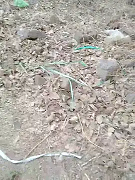 sexyboy_917 (M young) - #69-position #ahegao #anal-toys #ass-to-mouth #bbc #big-balls #big-cocks #bisexuals #black-hair #blowjob #cam2cam #chastity #cheapest-privates #creampie #cumshot #deepthroat #dirty-talk #doggy-style #ejaculation #hairy #handjob #hd #indian #kissing #masturbation #medium-hair #mobile #muscular #oil-show #outdoor #precum #recordable-privates #role-play #sexting #small-audience #top #young