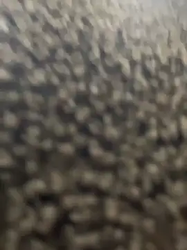 Preview of sweetcutegirls1023