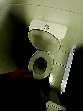 Preview of branquinho3