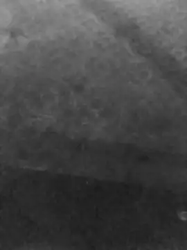 Preview of sexulsand